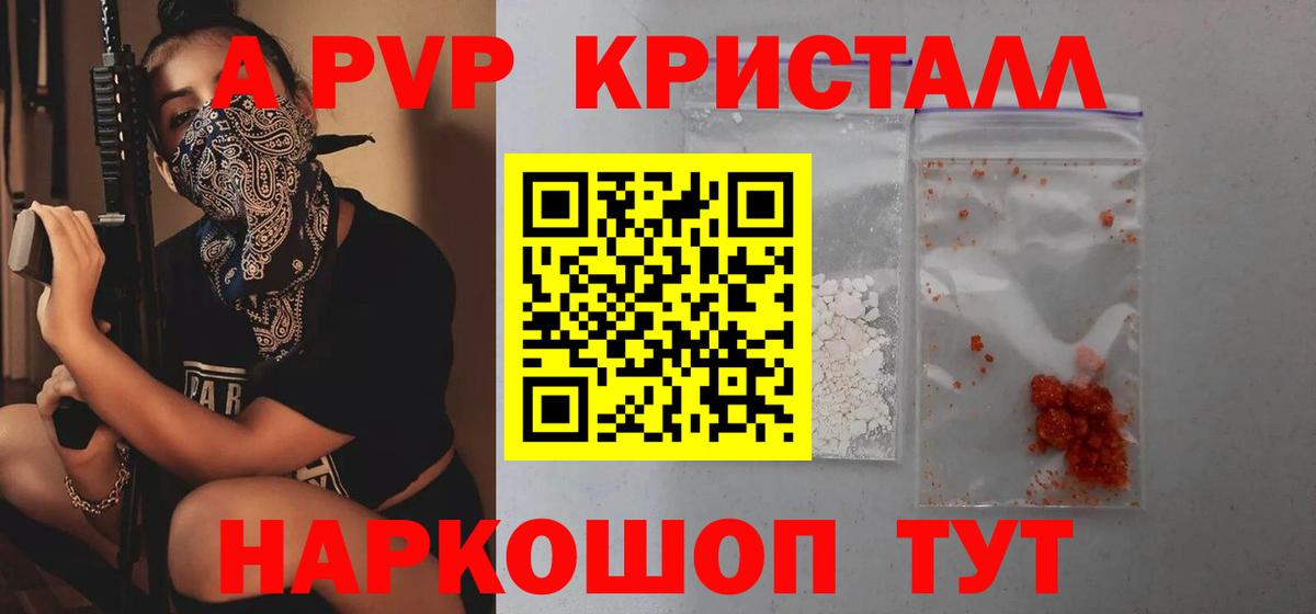 A PVP СК КРИС Киселёвск