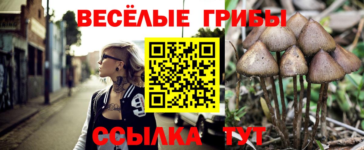 Псилоцибиновые грибы Psilocybe  Вход с VPN  закладки  Киселёвск 