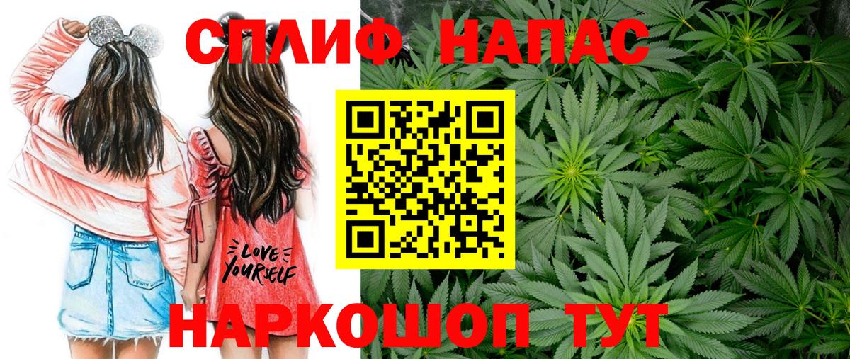 Канабис OG Kush Киселёвск